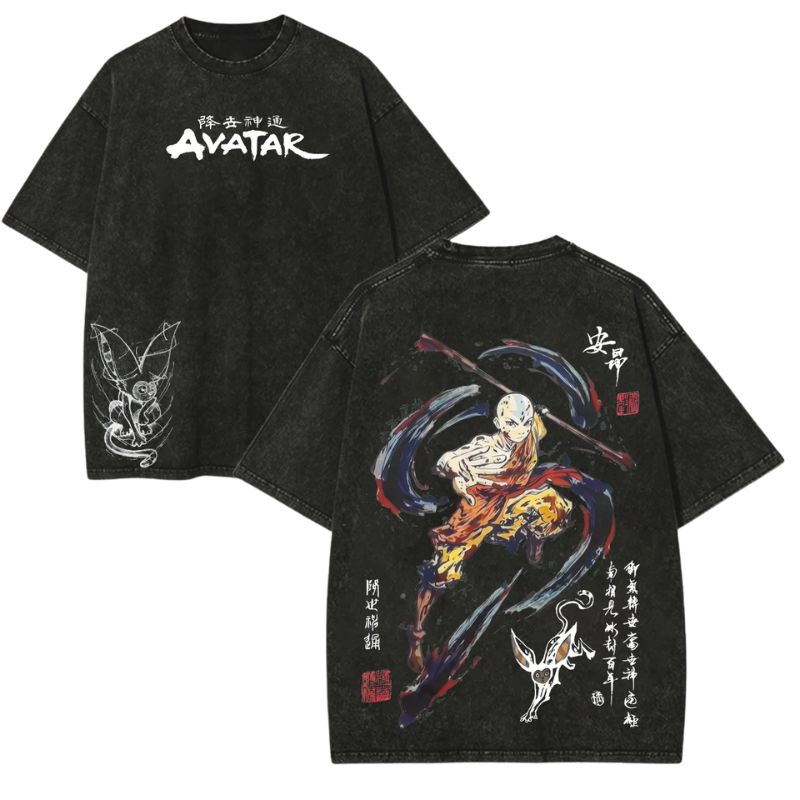 Aang Avatar The Last Airbender PTTT2505 Washed T-shirt
